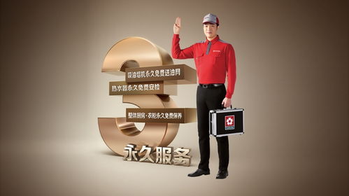 以极致产品与卓越服务，sakura樱花为厨居生活注入幸福气息